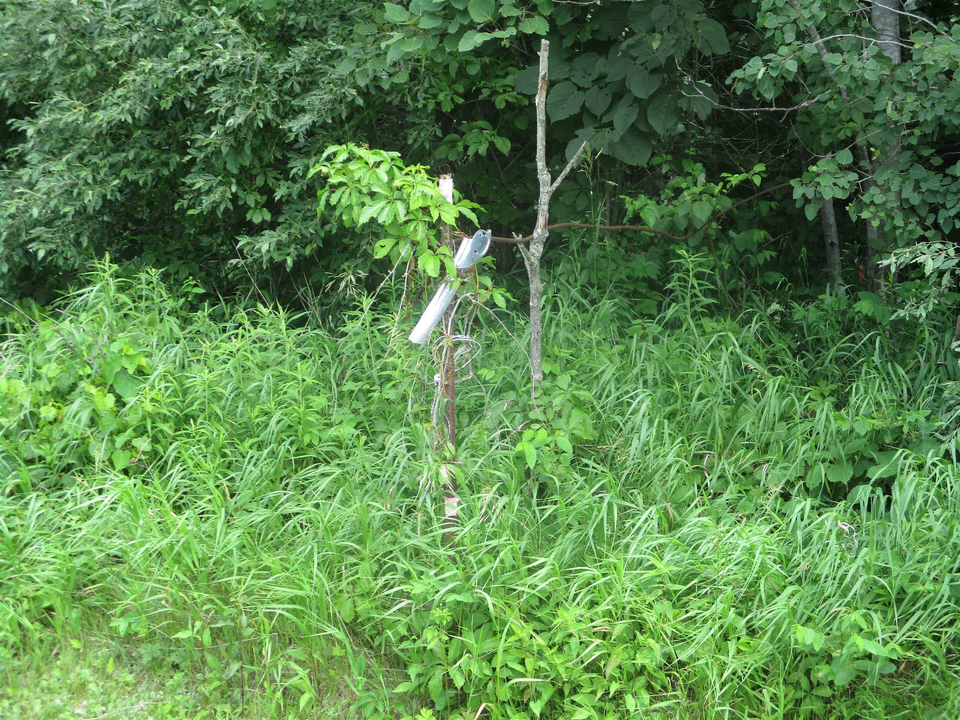 0 East Russell Lake Road Roscommon, MI 48653 - Photo 1 of 8
