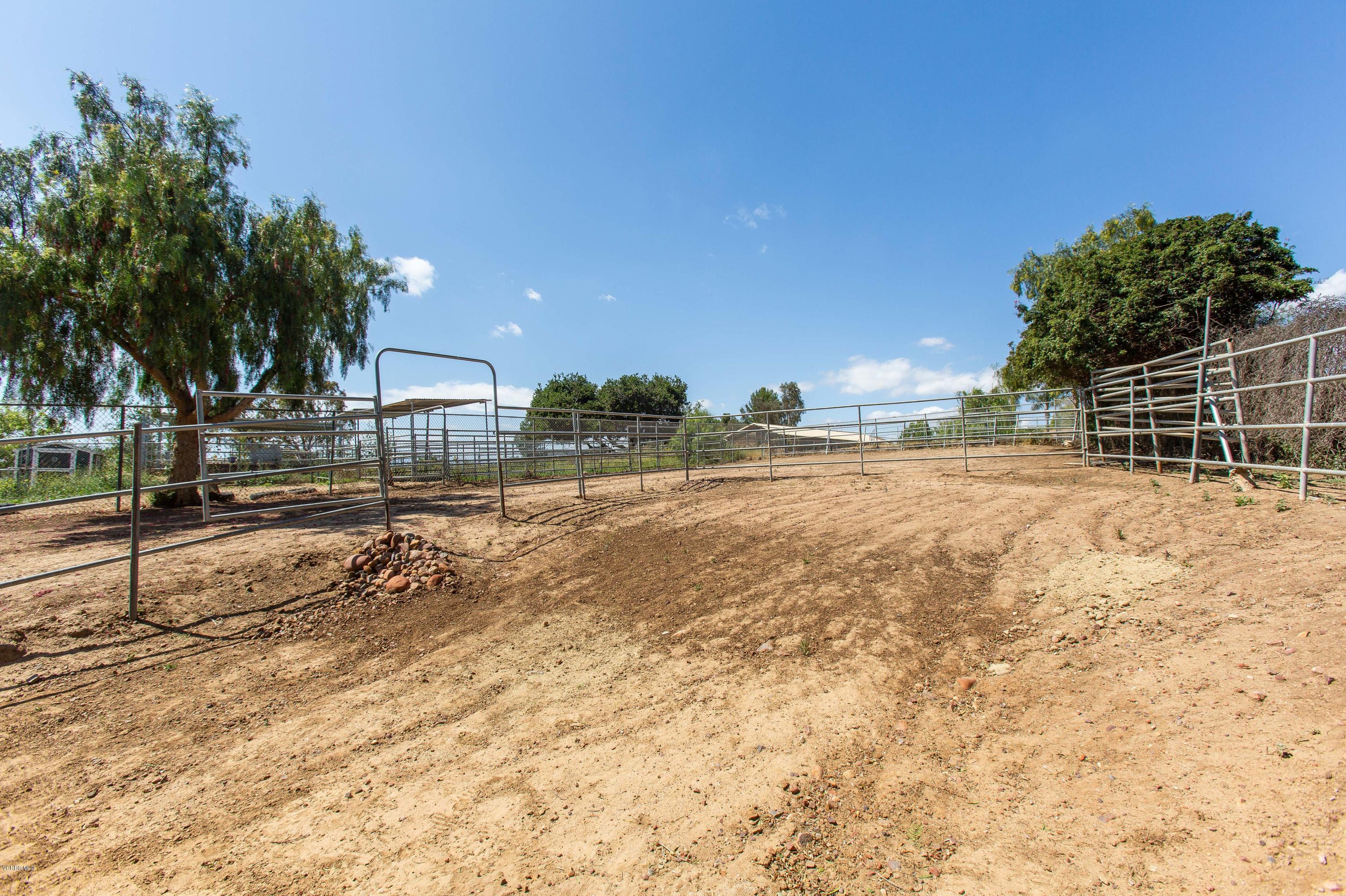 1177 Rambling Road Simi Valley, CA 93065 - Photo 48 of 56 1177 Rambling Rd HsHProd-38