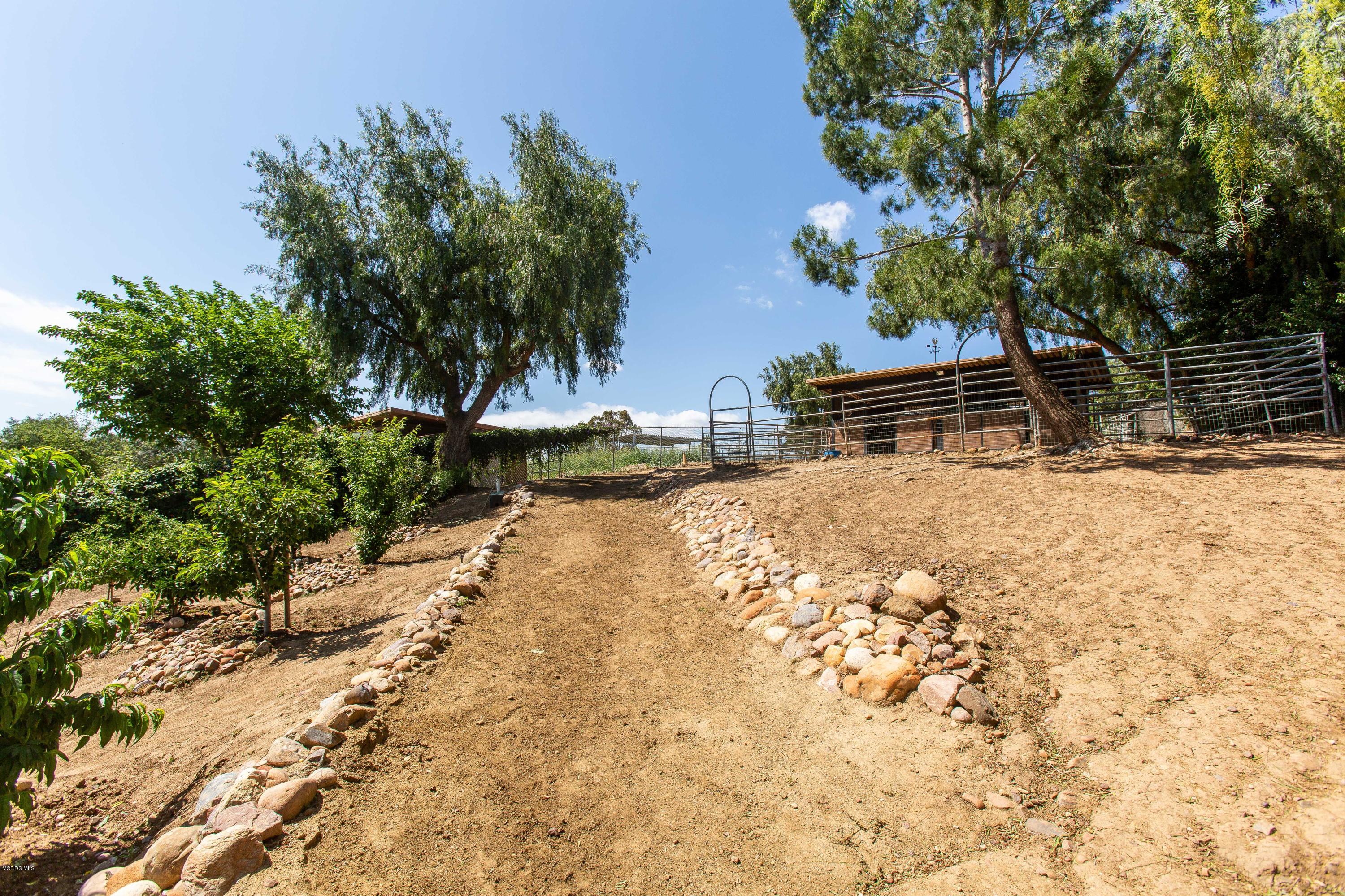 1177 Rambling Road Simi Valley, CA 93065 - Photo 49 of 56 a view of a backyard of the house