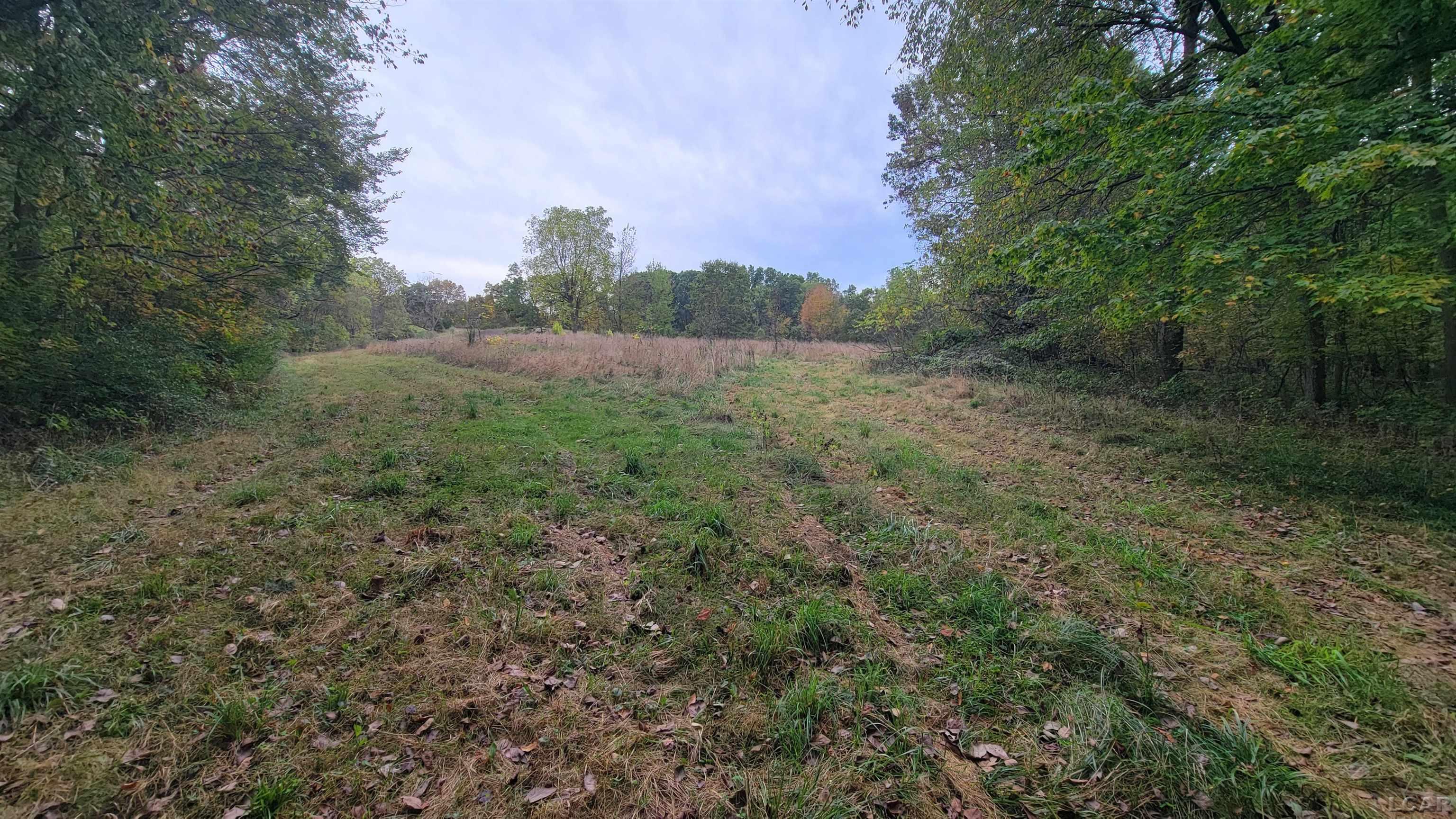 0 Mull Road Tipton, MI 49287 - Photo 15 of 32 Gallery Image 15