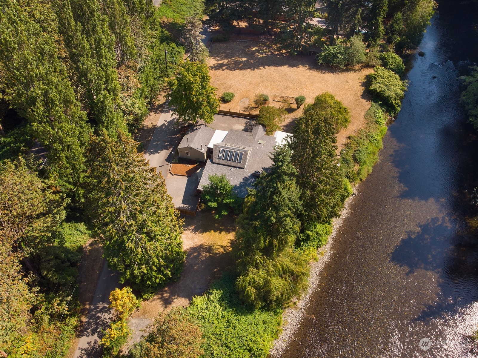 3225 Southeast 7th Street Renton, WA 98057 - Photo 1 of 26 a view of a yard with plants and large trees