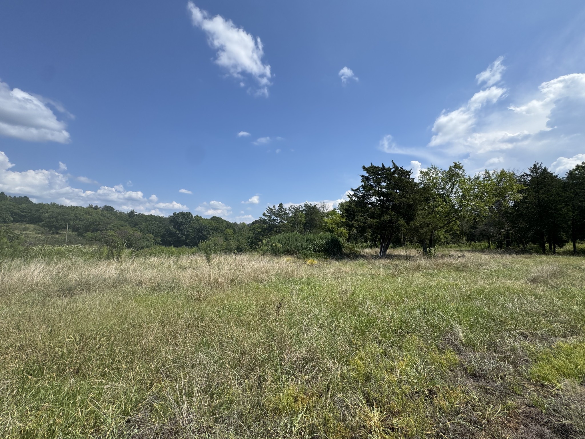 1145 Bell Road Watertown, TN 37184 - Photo 3 of 7 a view of a lake with a yard