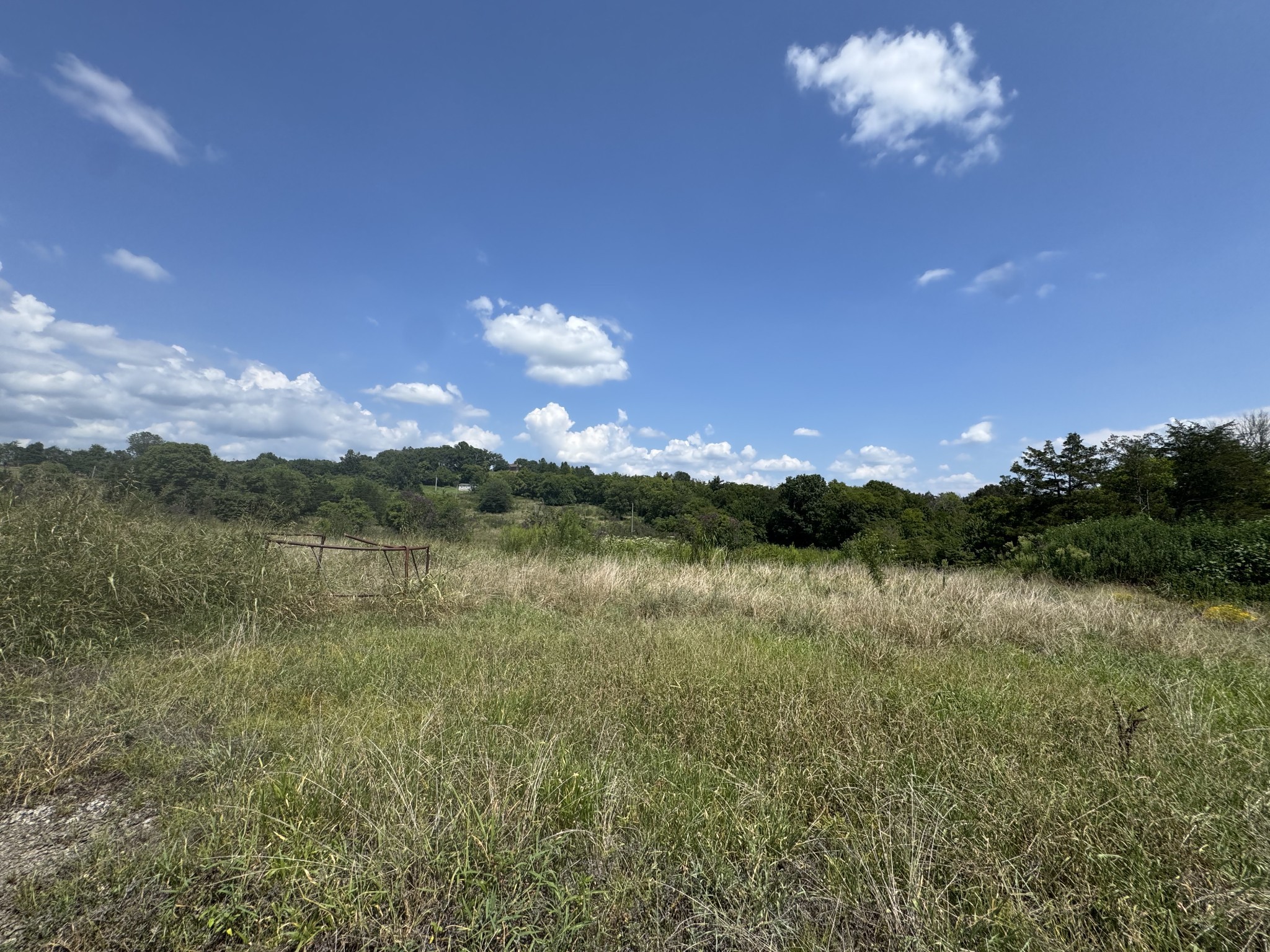 1145 Bell Road Watertown, TN 37184 - Photo 4 of 7 a view of lake