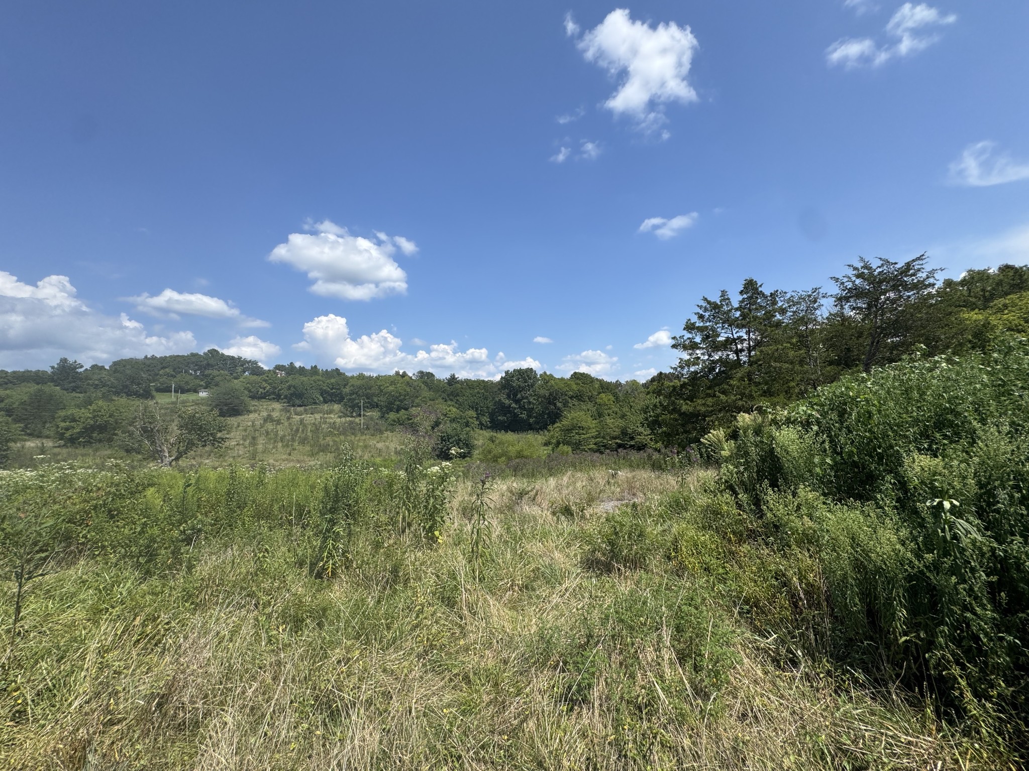 1145 Bell Road Watertown, TN 37184 - Photo 5 of 7