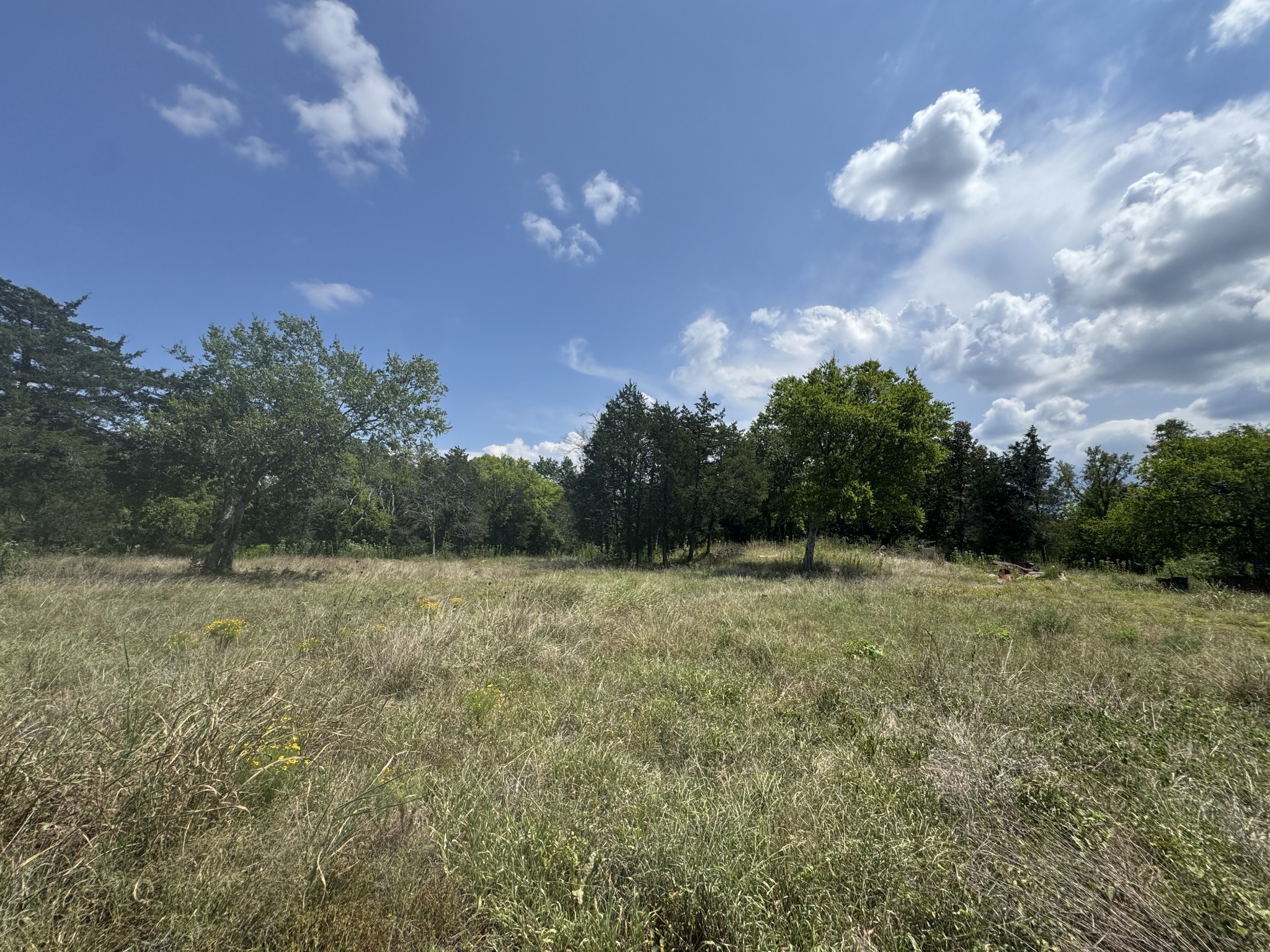 1145 Bell Road Watertown, TN 37184 - Photo 6 of 7 a view of field with tree in the background