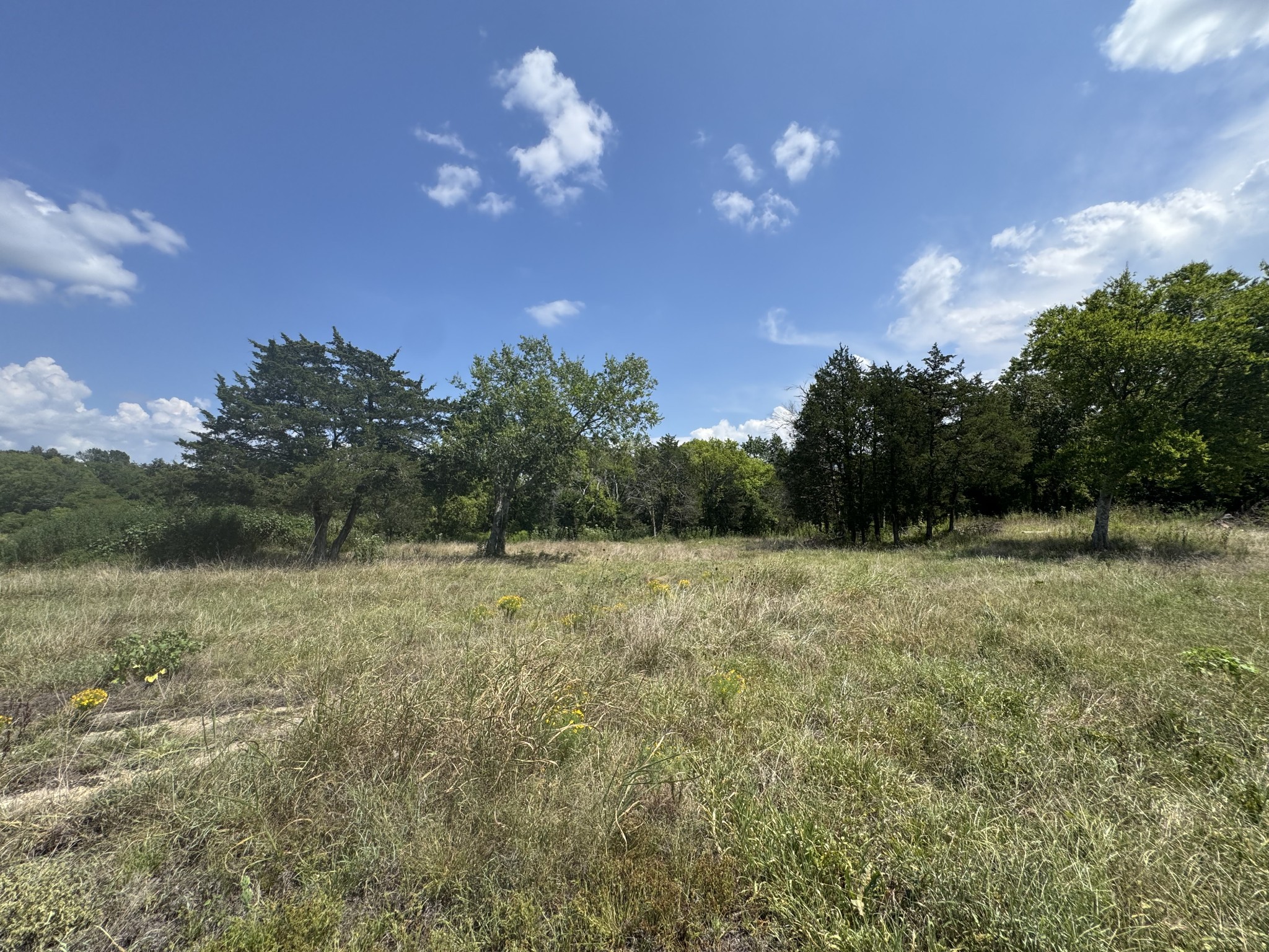 1145 Bell Road Watertown, TN 37184 - Photo 7 of 7 a view of a yard
