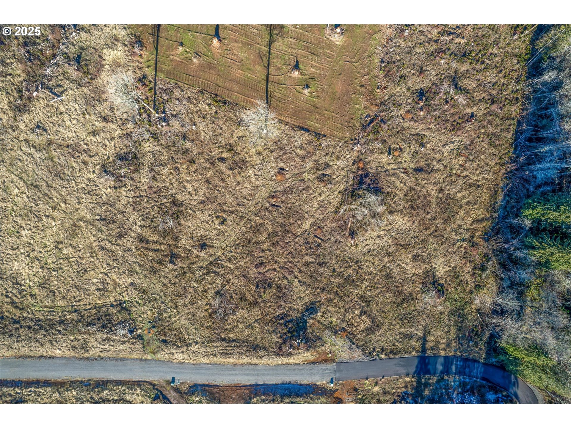 324 Dolan Road Castle Rock, WA 98611 - Photo 6 of 7