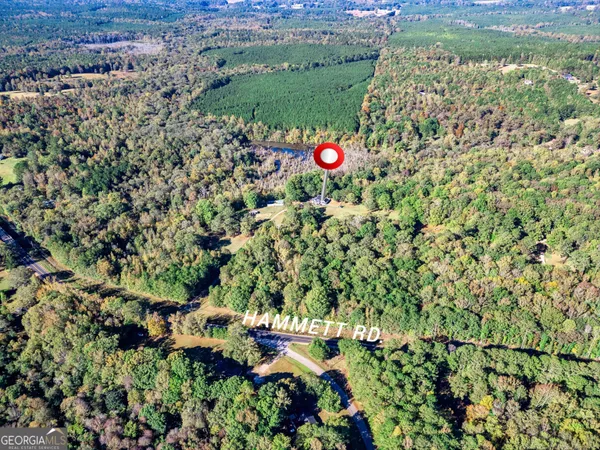 a view of a lush green field with lots of plants in the background