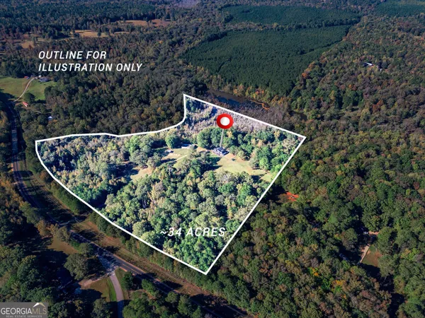 an outdoor view of a garden