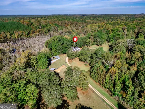 a view of backyard with a garden and trees