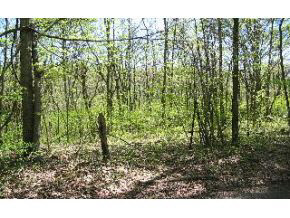 7791 Zikes Road South Bloomington, IN 47401 - Photo 2 of 4 Gallery Image 2