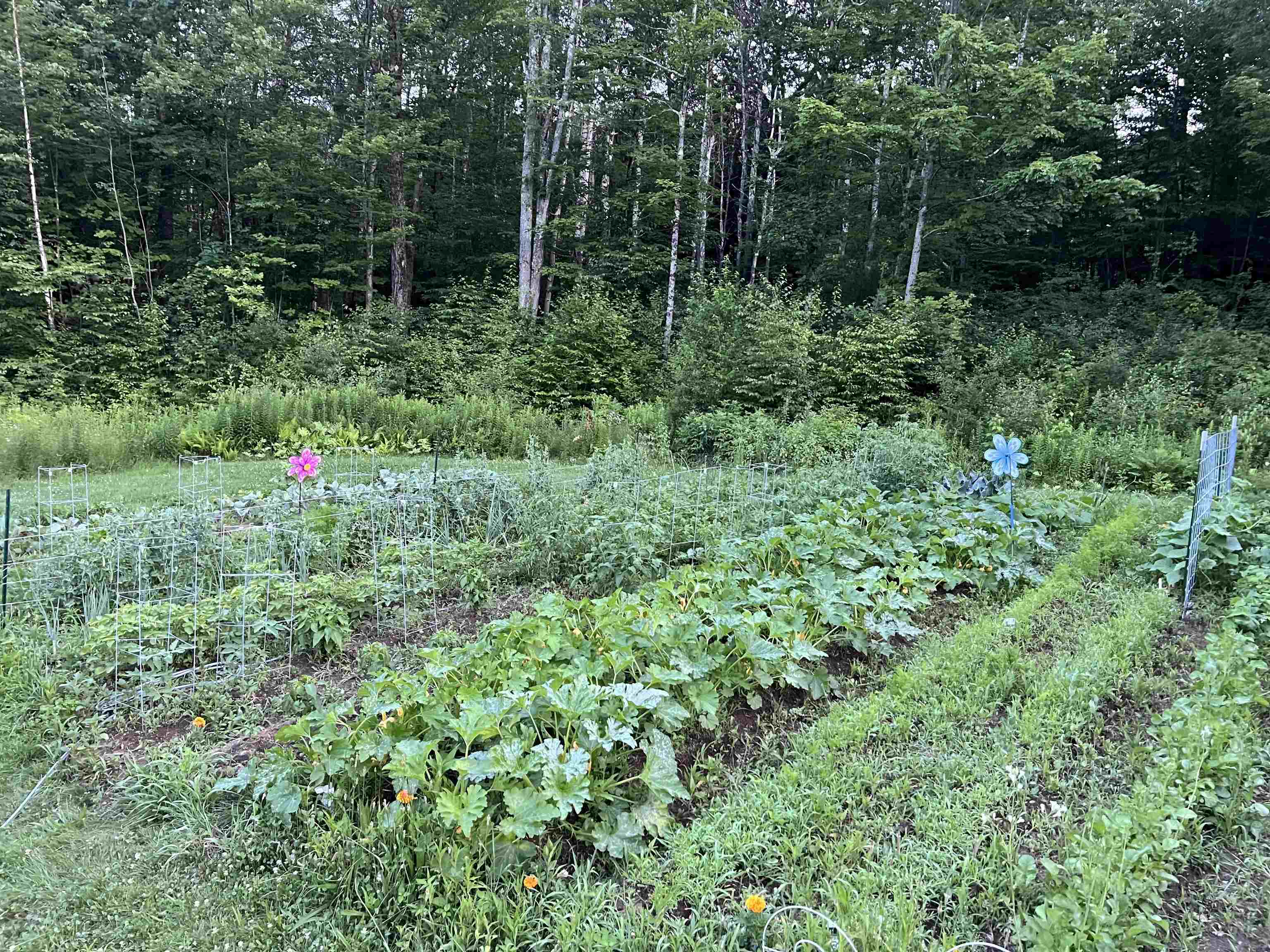 200 Old Peterborough Road Dublin, NH 03444 - Photo 55 of 60