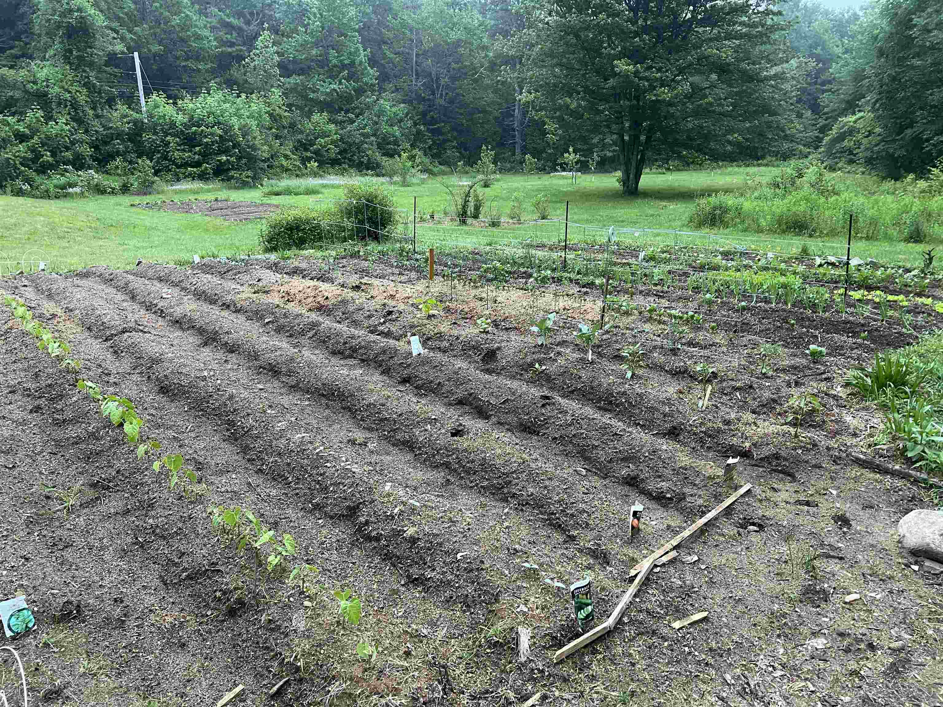 200 Old Peterborough Road Dublin, NH 03444 - Photo 59 of 60