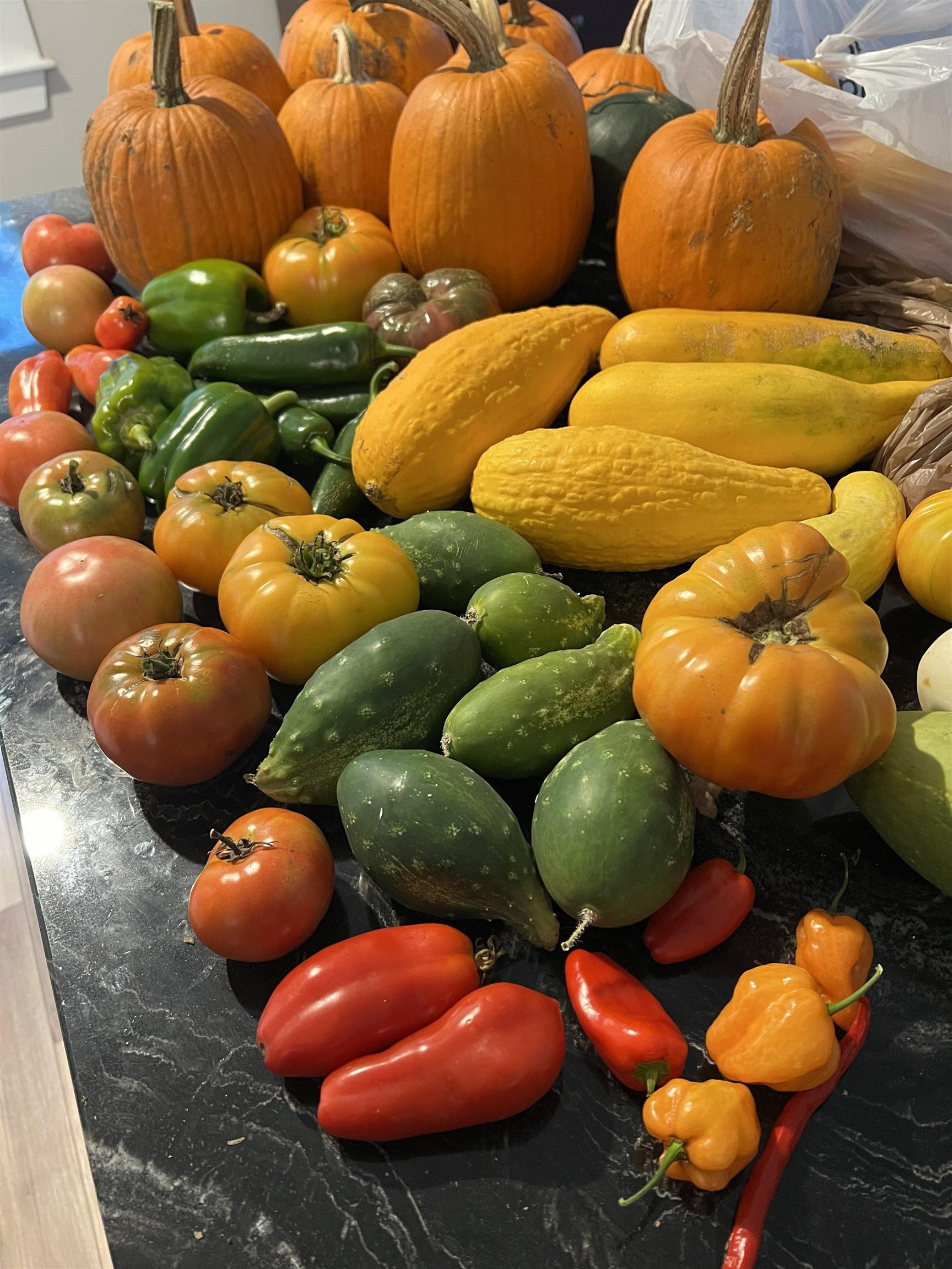 200 Old Peterborough Road Dublin, NH 03444 - Photo 60 of 60