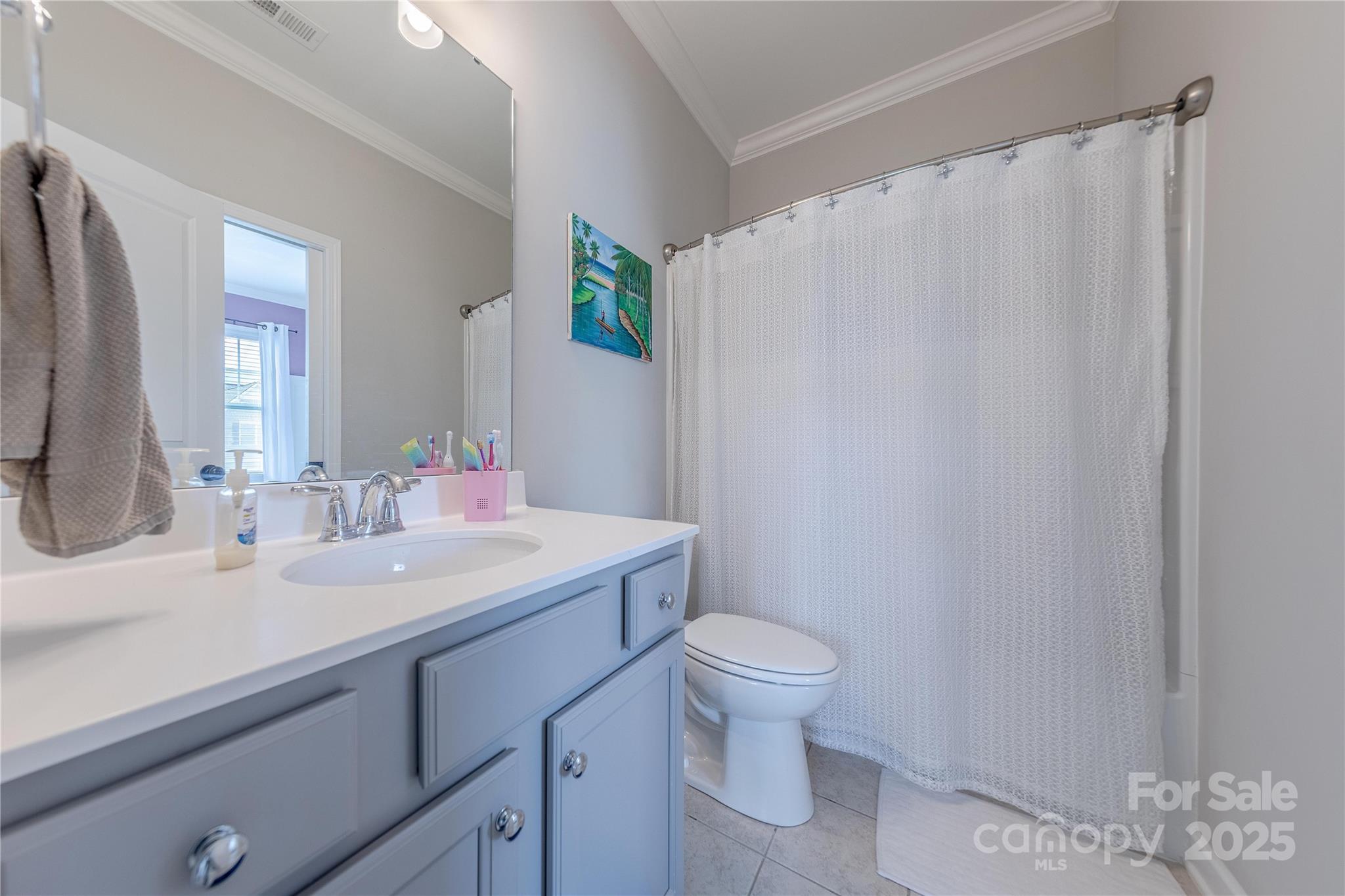 5256 Meadowcroft Way Fort Mill, SC 29708 - Photo 34 of 48 a bathroom with a sink a toilet and a mirror