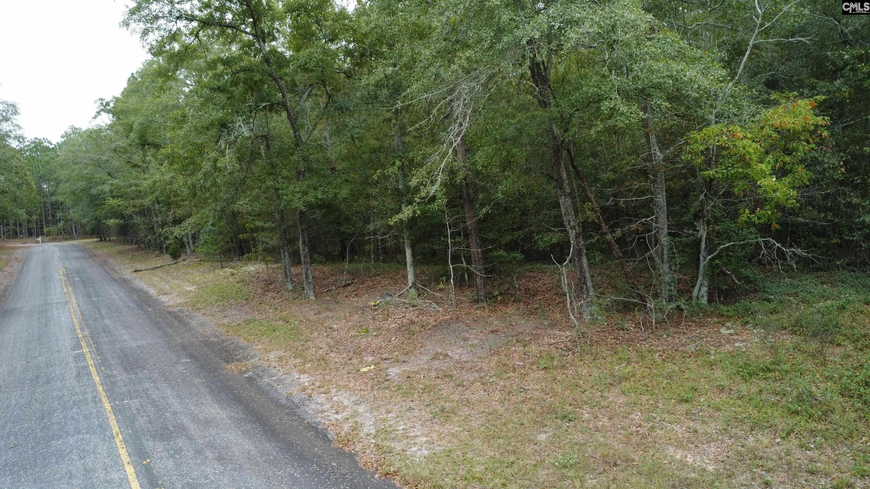 Tbd Holiness Church Road Wagener, SC 29164 - Photo 5 of 7