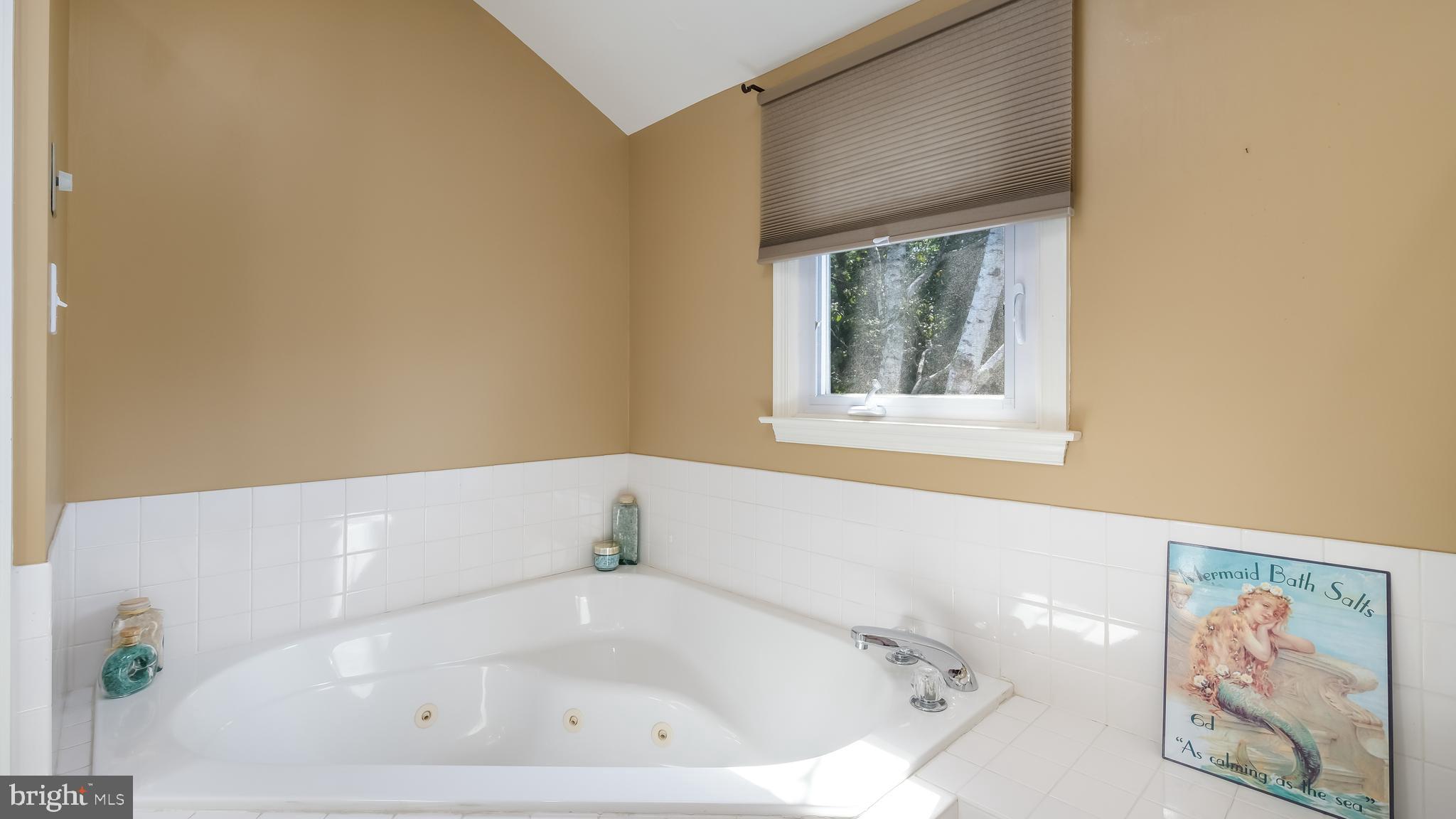 1254 Leedom Road Huntingdon Valley, PA 19006 - Photo 19 of 35 Jacuzzi