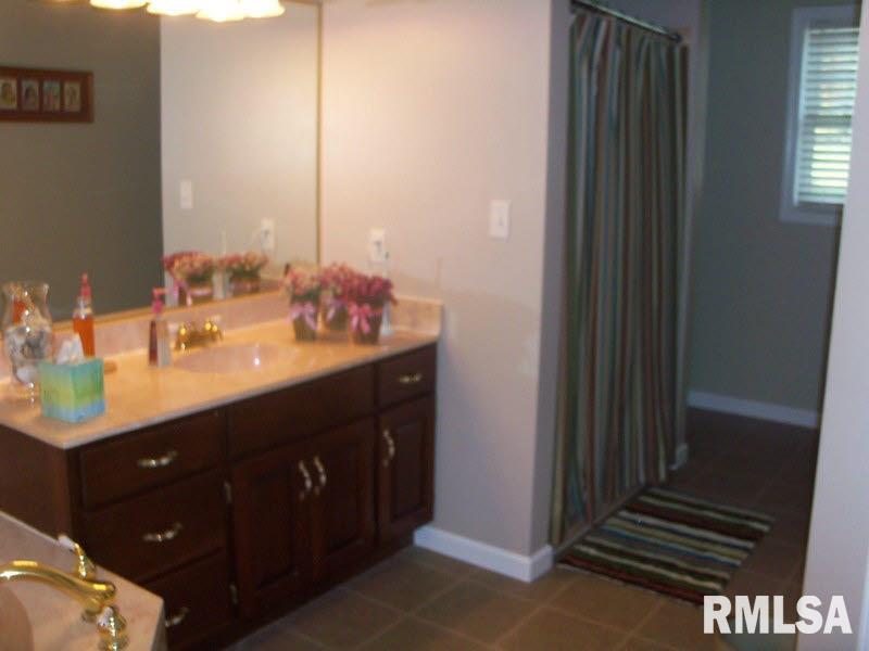 515 Battleford Road Harrisburg, IL 62946 - Photo 8 of 17 Gallery Image 8