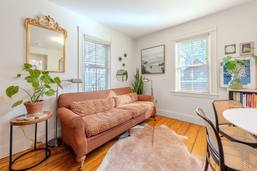 20 Porter Street, Unit 2 Boston, MA 02130 - Photo 9 of 35 a living room with furniture and a potted plant