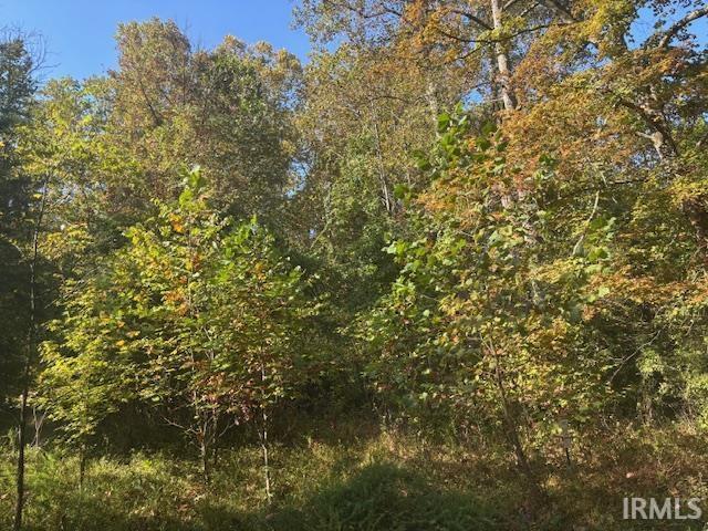 West County Pike Road West Baden Springs, IN 47469 - Photo 4 of 7