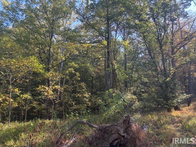 West County Pike Road West Baden Springs, IN 47469 - Photo 5 of 7