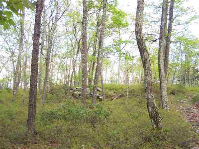 New Road Wurtsboro, NY 12790 - Photo 6 of 10 a view of outdoor space and trees