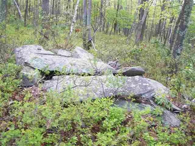 a view of outdoor space and garden