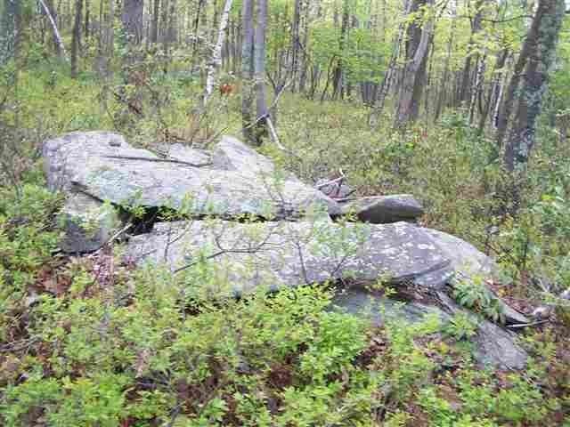 New Road Wurtsboro, NY 12790 - Photo 7 of 10 a view of outdoor space and garden