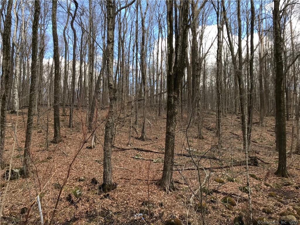 Lot 12 Weed Road Torrington, CT 06790 - Photo 1 of 1