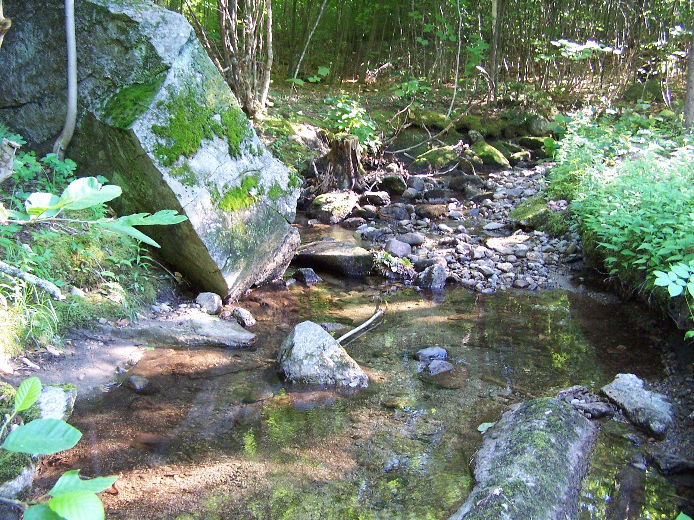 50 Tuttle Road Bradford, NH 03221 - Photo 1 of 3