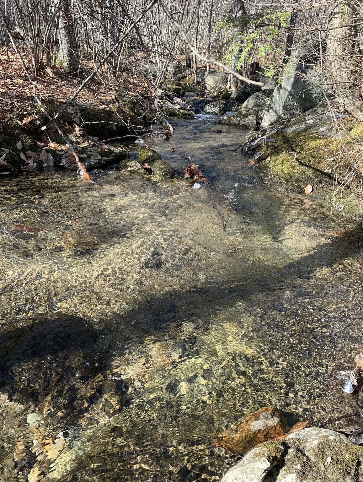 50 Tuttle Road Bradford, NH 03221 - Photo 2 of 3