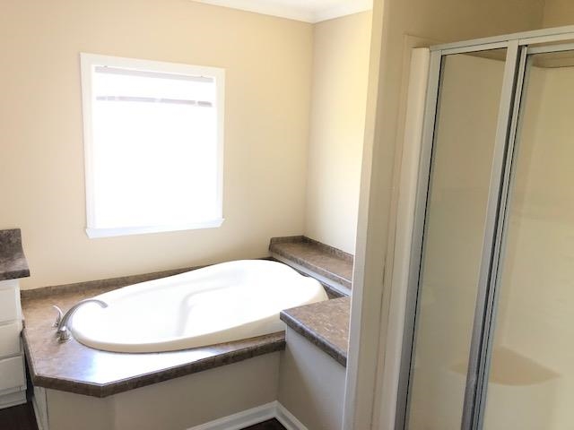 1448 Eurekaton Road Stanton, TN 38069 - Photo 15 of 22 Gallery Image 15