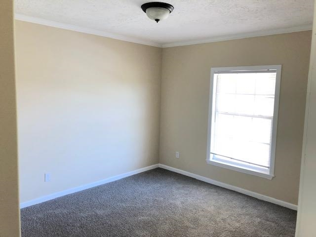 1448 Eurekaton Road Stanton, TN 38069 - Photo 20 of 22 Gallery Image 20