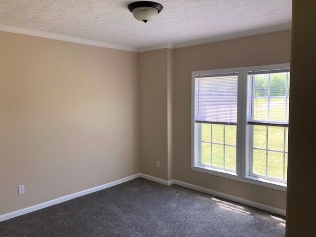1448 Eurekaton Road Stanton, TN 38069 - Photo 21 of 22 Gallery Image 21