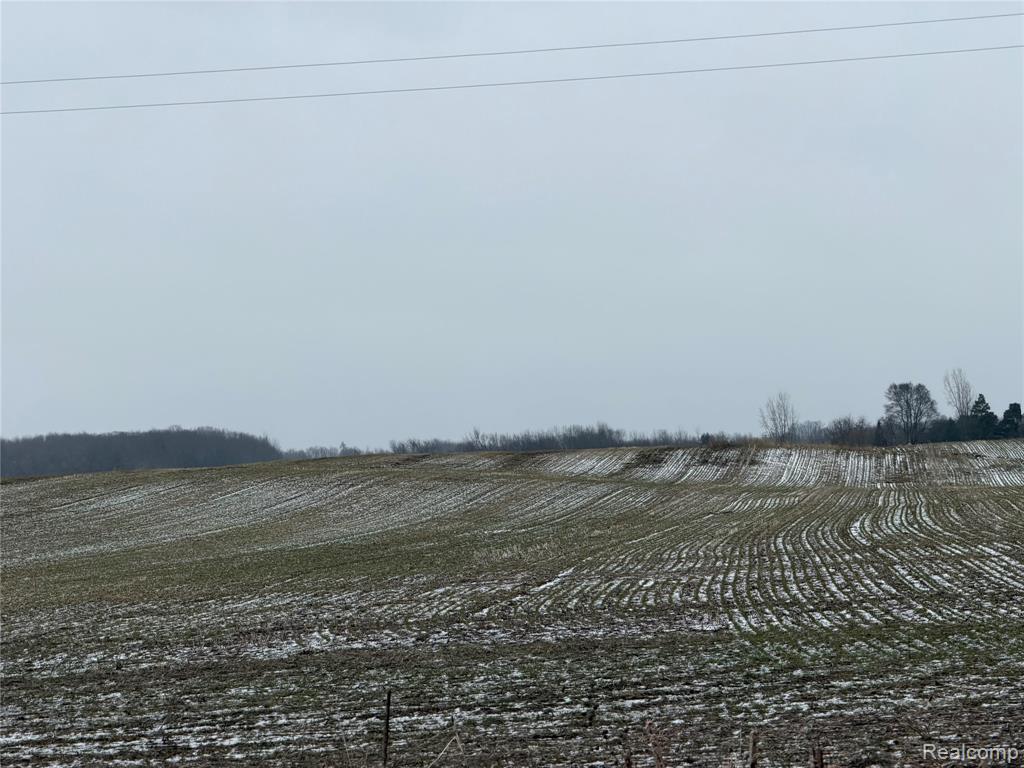 3160 Sanilac Road Kingston, MI 48741 - Photo 7 of 18