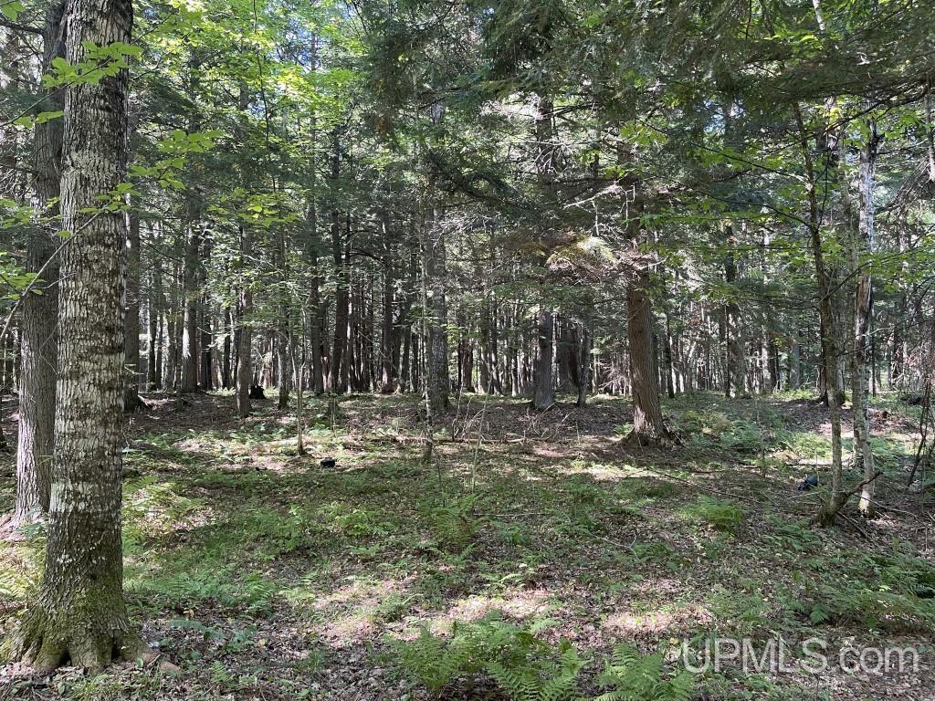 19023 Collins Road Lanse, MI 49946 - Photo 13 of 20 Gallery Image 13