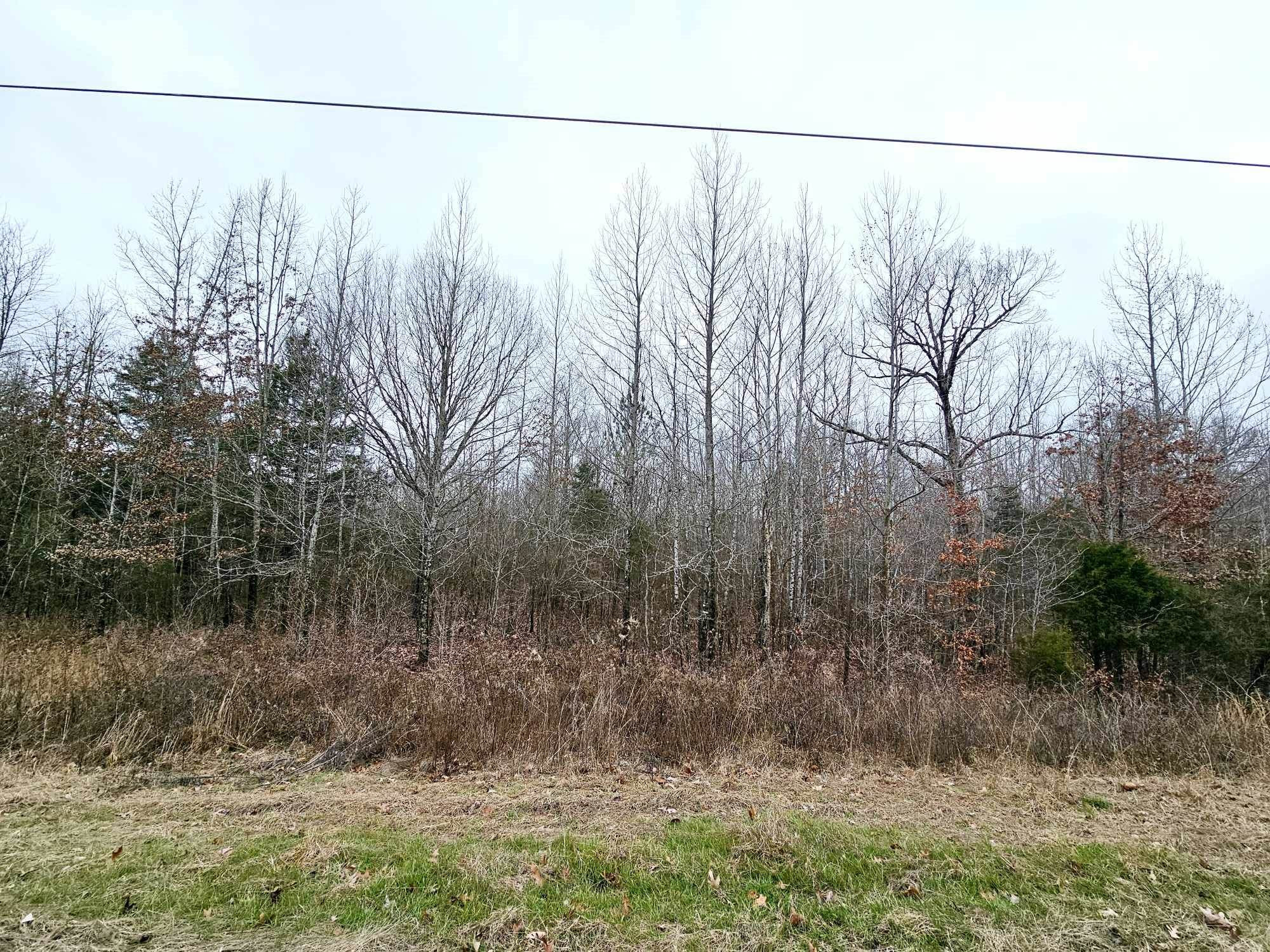 B County Lake Road Cedar Grove, TN 38321 - Photo 2 of 3 a view of a yard