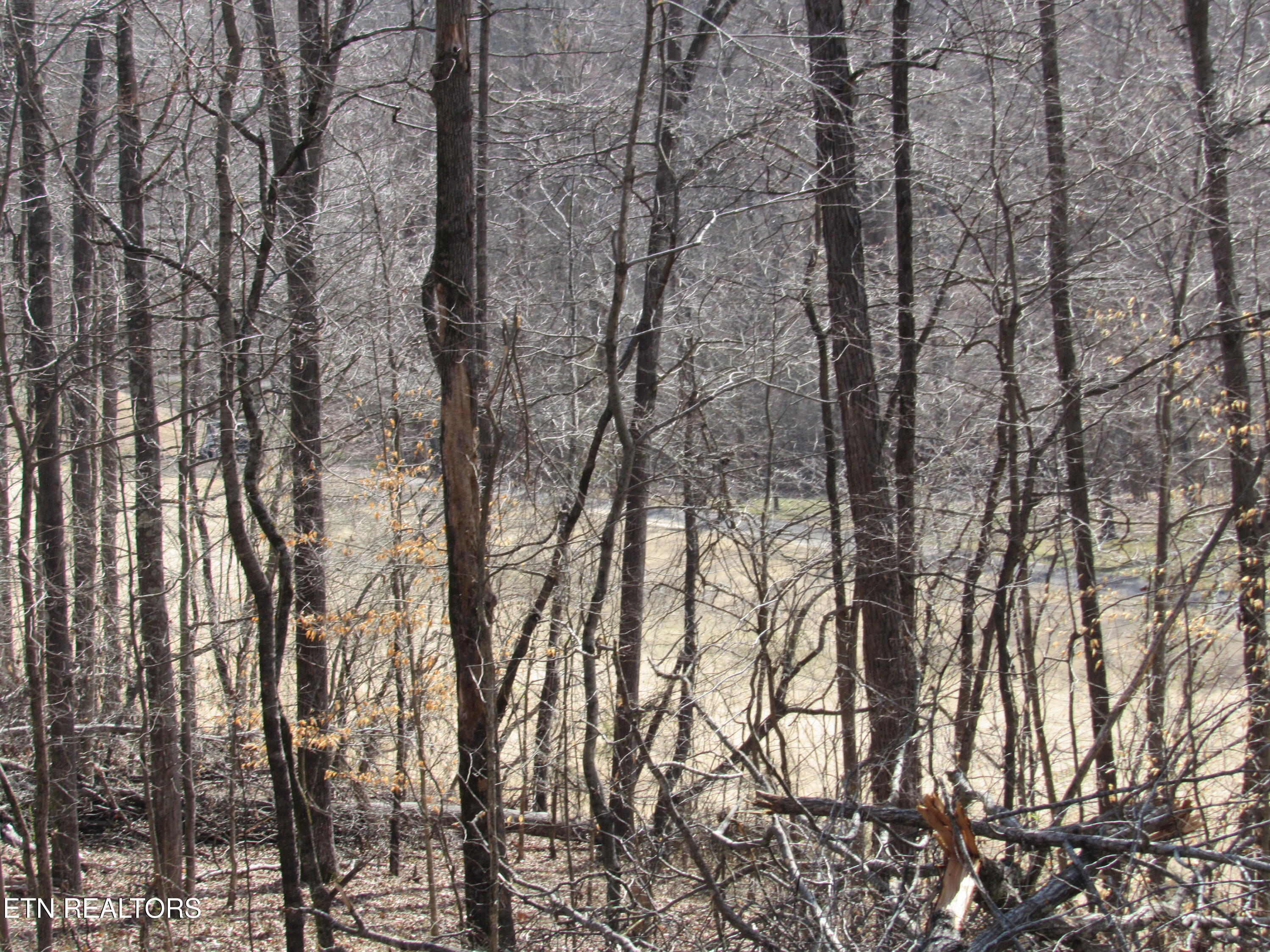 105 Rockbridge Greens Boulevard Oak Ridge, TN 37830 - Photo 6 of 12 IMG_0202