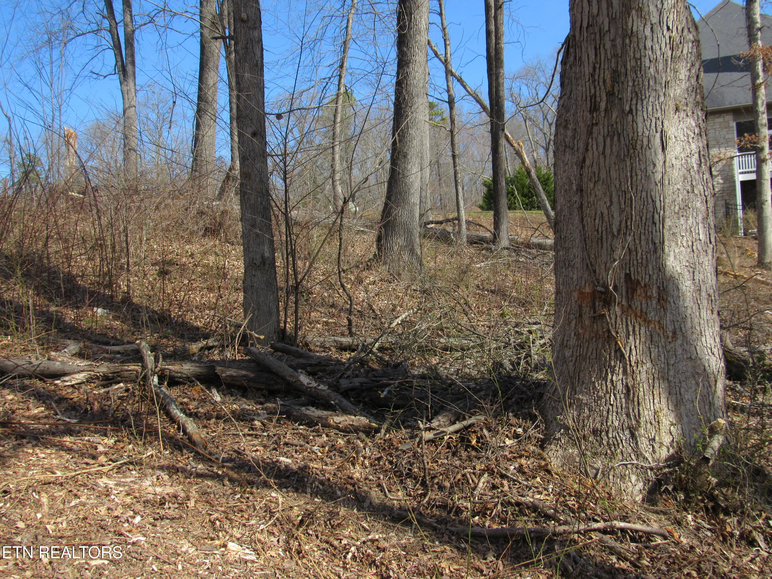 105 Rockbridge Greens Boulevard Oak Ridge, TN 37830 - Photo 7 of 12 IMG_0203