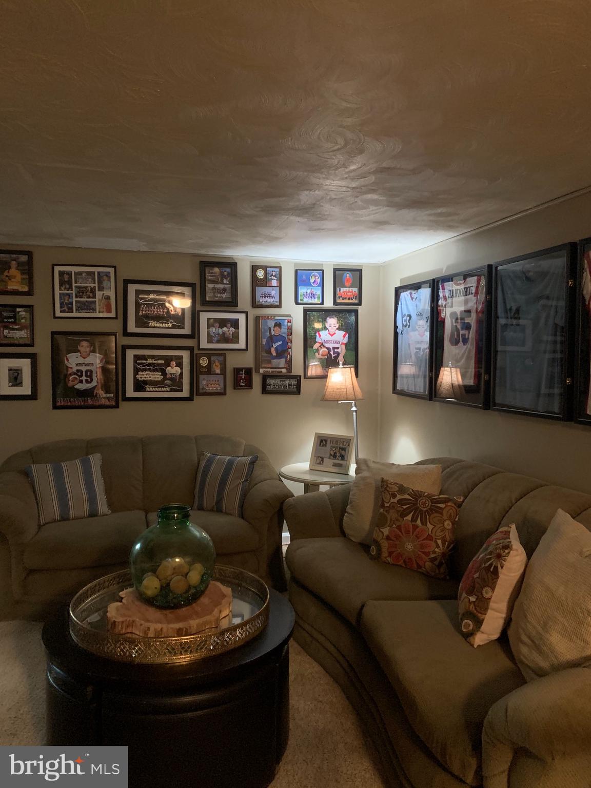 206 Embleton Road Owings Mills, MD 21117 - Photo 15 of 29 Family room