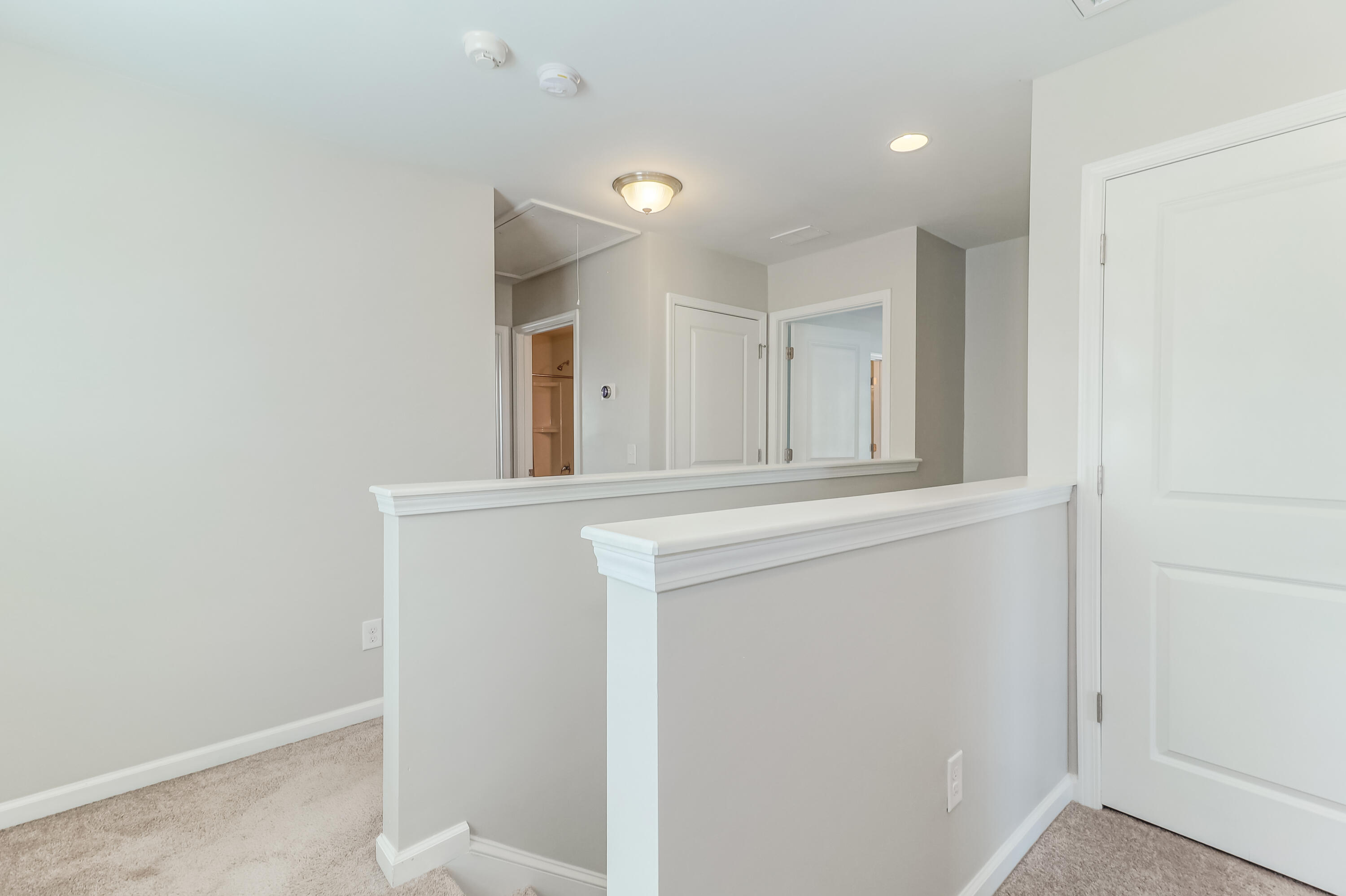 9724 Brandishing Road Ladson, SC 29456 - Photo 27 of 56 9724 Brandishing (46)