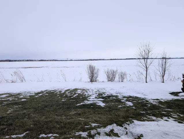 a view of a dry yard with wooden fence