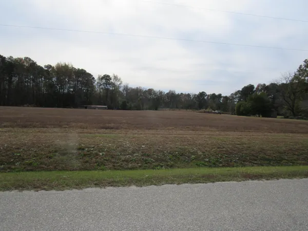 a view of a field with a tree in the background
