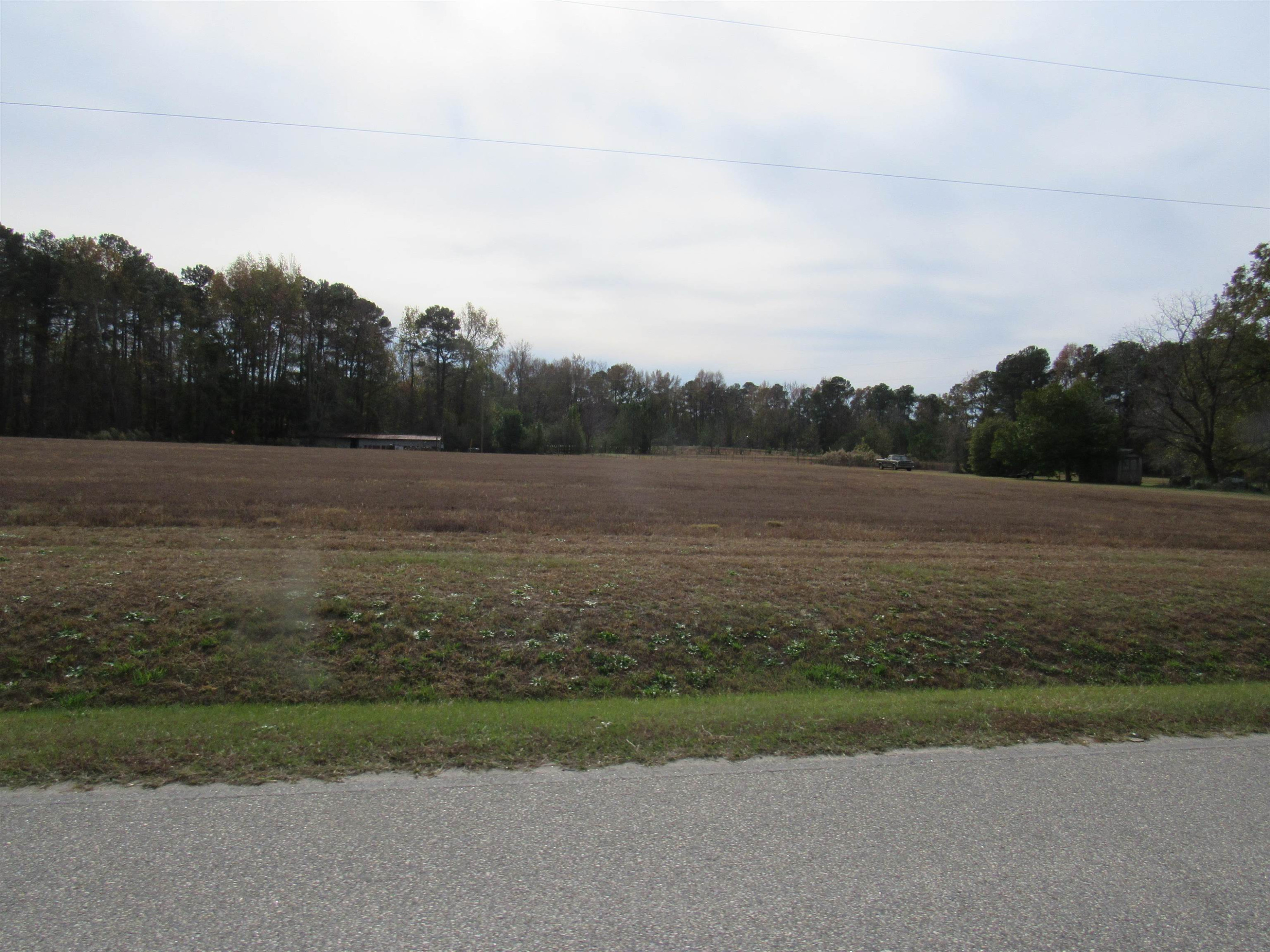 257 Johnson Estate Road Clayton, NC 27520 - Photo 3 of 7