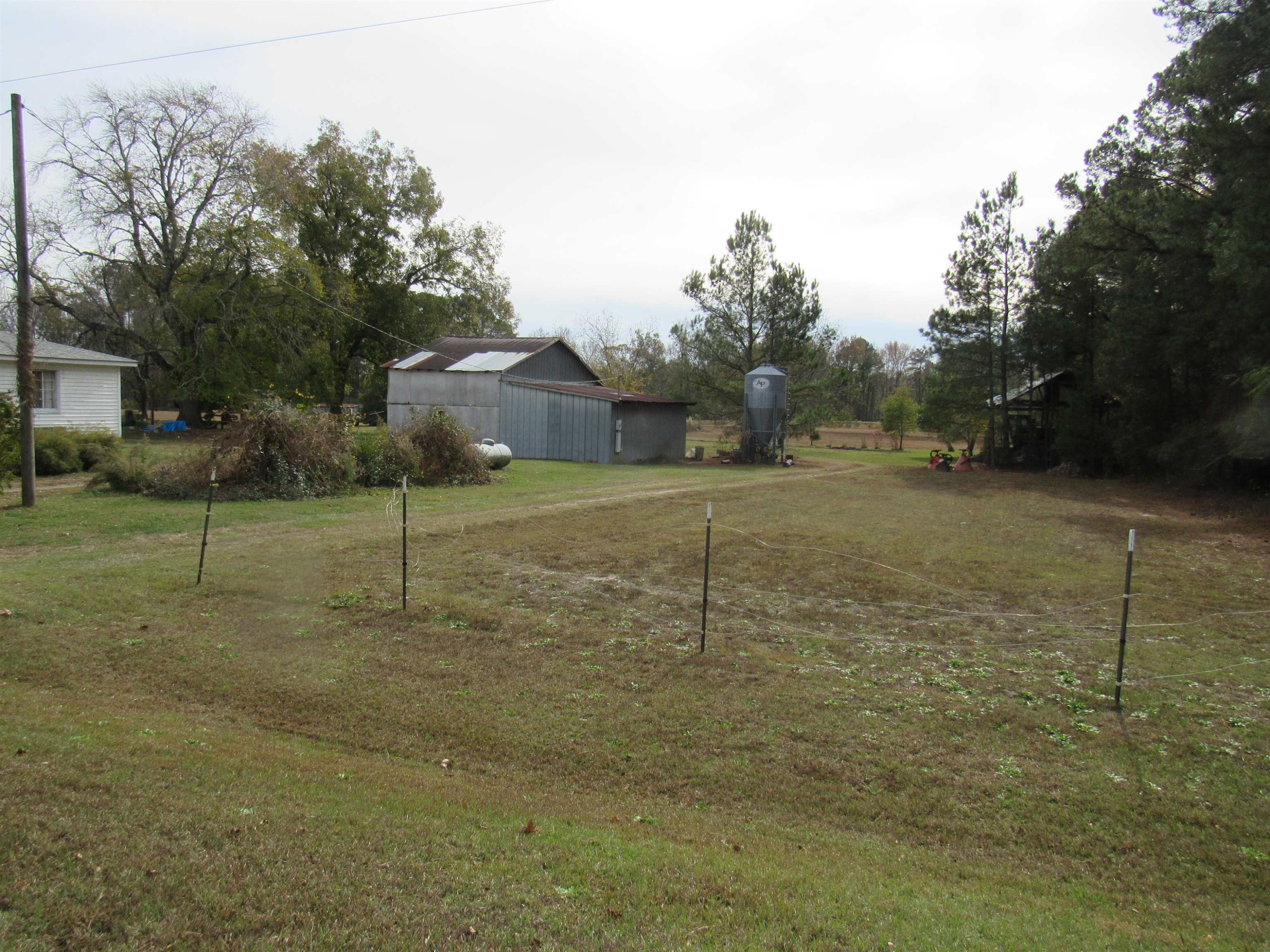 257 Johnson Estate Road Clayton, NC 27520 - Photo 6 of 7 a backyard of a house with lots of green space