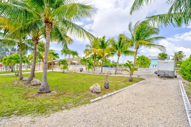 a view of a park with palm trees
