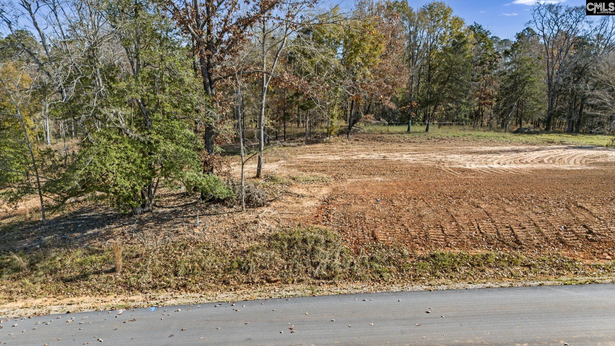 0 Lands End Lane Prosperity, SC 29127 - Photo 5 of 21