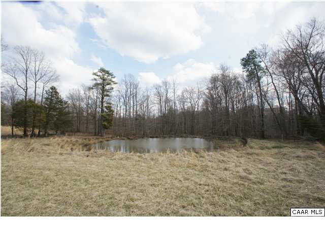 810 Chopping Road Mineral, VA 23117 - Photo 17 of 20 a backyard of a house