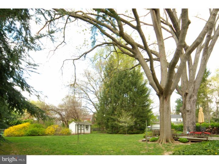 409 Oreland Mill Road Oreland, PA 19075 - Photo 22 of 25 Back Yard
