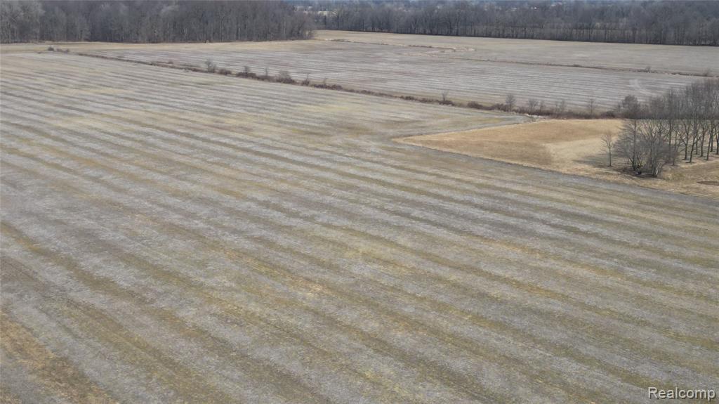 Lot #12 Kunstman Road Ray, MI 48096 - Photo 3 of 15